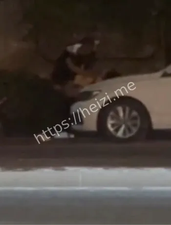 华府山水引擎盖