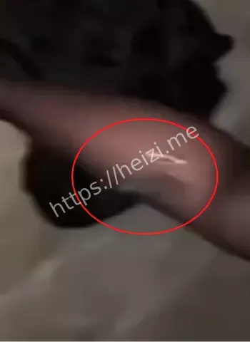 赵丽欣宁波职业学院