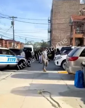 皇后区法拉盛家庭血案详解