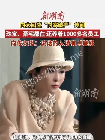 向太回应破产传闻