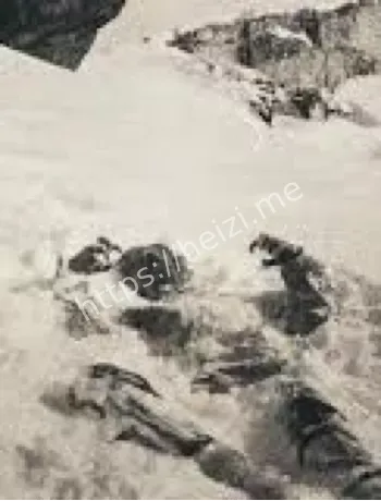 雪崩理论细节争议