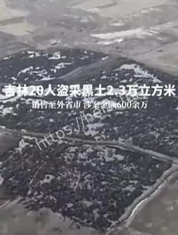 吉林辽源黑土盗采案