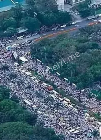 宿务省地震海啸预警内幕