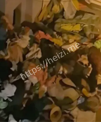 河北老人垃圾堆房顶女婿怒清