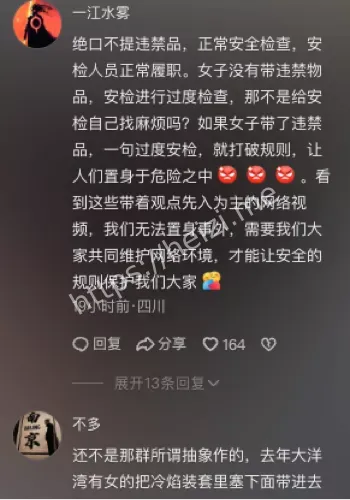 音乐节安保乱象