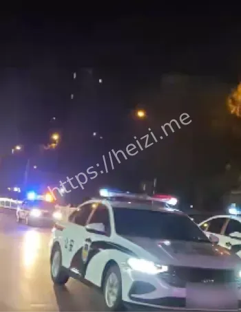 辽宁绥中刑案高大友