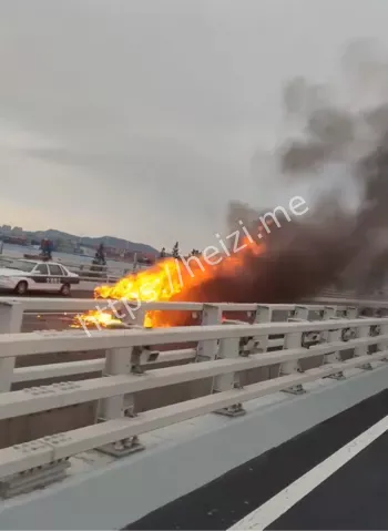 山东青岛胶州湾