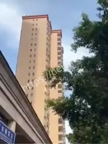 学校压力导致青少年轻生