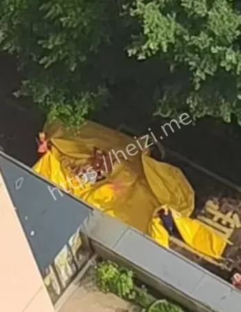 社会呼吁加强心理健康教育