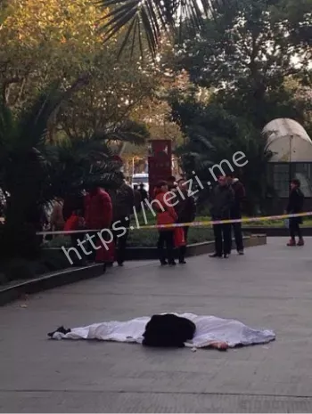 高档小区附近教学楼坠楼现场