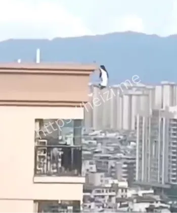 广东清远学生跳楼事件