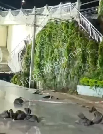 南宁北大桥右侧堤外陷坑事件