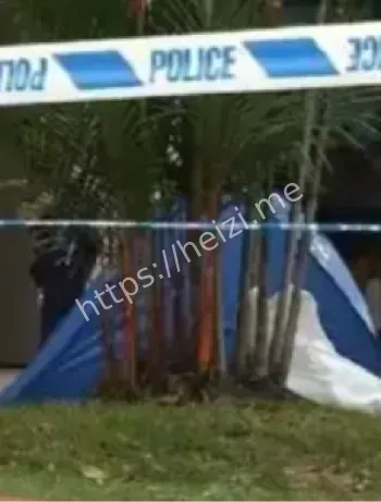 移民新加坡心理健康问题