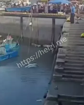 电动车海边安全事故曝光