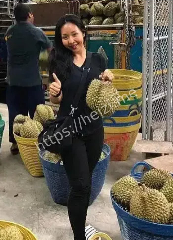 泰国春蓬府家庭纠纷