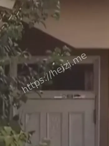 茨城县森惠子杀人案