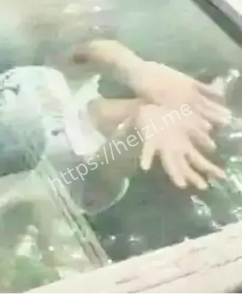 女儿万希子精神病纠纷