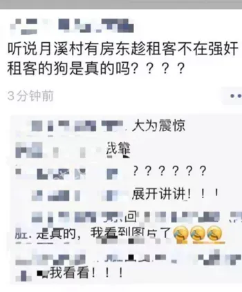 狐狸犬阿黄惨案细节