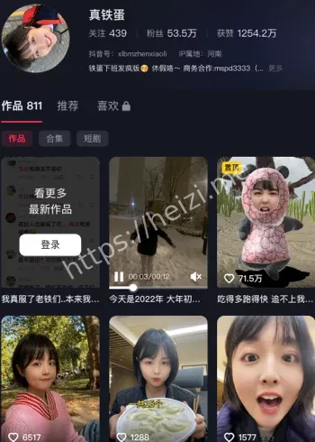 真铁蛋小莉帮忙记者身份