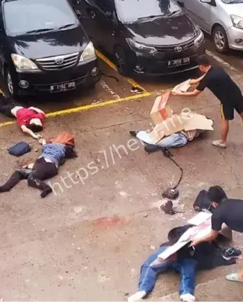 跨境变性人骗婚团伙被端