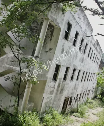 医生集体自杀传闻