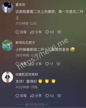 知名车评人陈震偷税