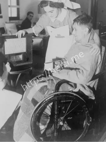 新西兰王席特精神病院