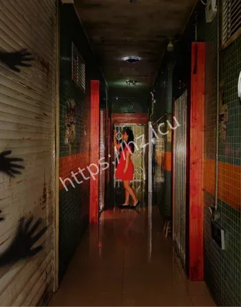 昆明旅游安全争议