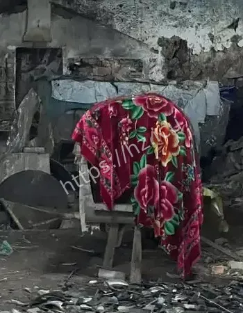 半夜总听到奇怪哭声