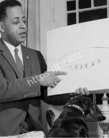 贝蒂巴尼希尔绑架案