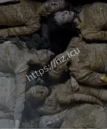 癌症少年闹鬼实录