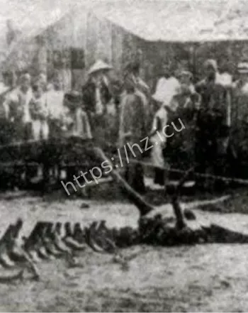 营口坠龙事件真相