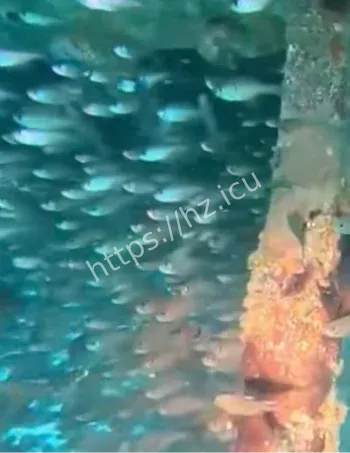 1992抚仙湖沉船失踪