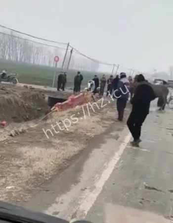 网友这才是真正的坠入爱河