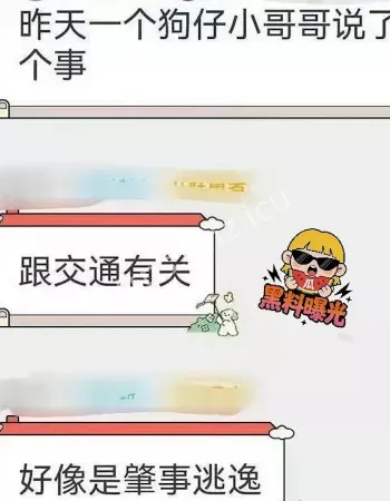 金晨肇事逃逸