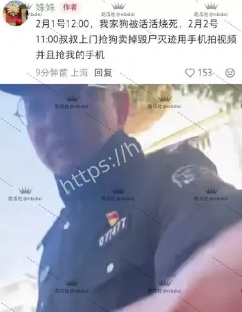 小孩哥小区纵火