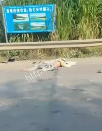 出车祸当场死亡