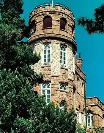 背后真相太恐怖