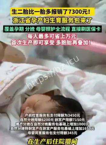 浙江省生育服务包