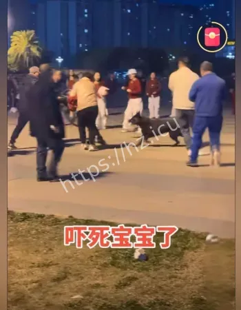 黑狗疯狂撕咬小孩