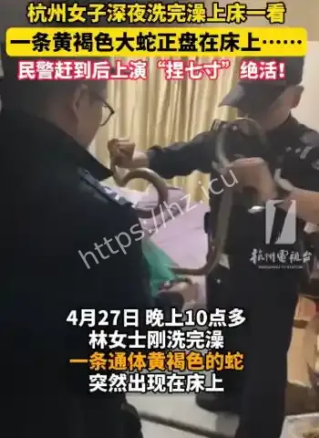 女子发现蛇盘在床上