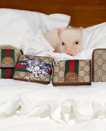 小猪溜进奢侈品门店