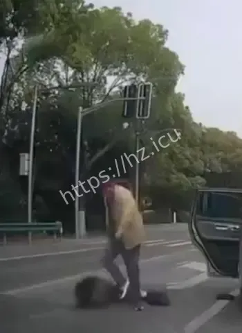 路中央暴打妻子后潇洒离去