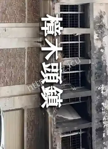 数千人神秘蒸发无踪