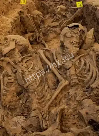 收容所变人间炼狱