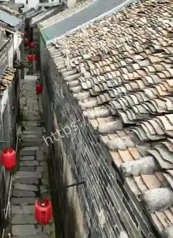 收容所变人间炼狱