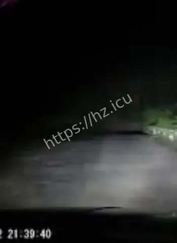 女孩补课后回家