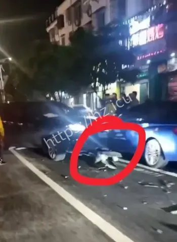 先撞死2人后又撞死1人