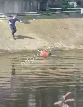 奶奶游客保安纷纷下水