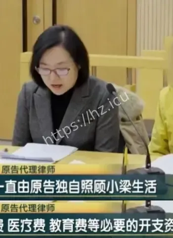 阿姨状告亲儿子